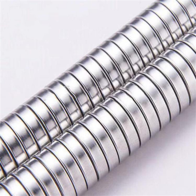 Stainless steel shower hose for shower head